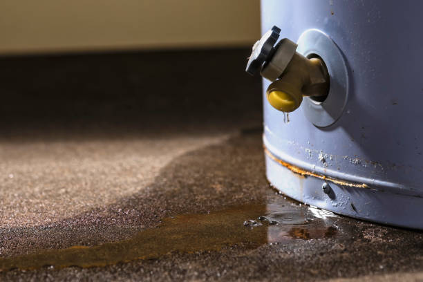 Best Ceiling water damage repair  in Fairwood, MD