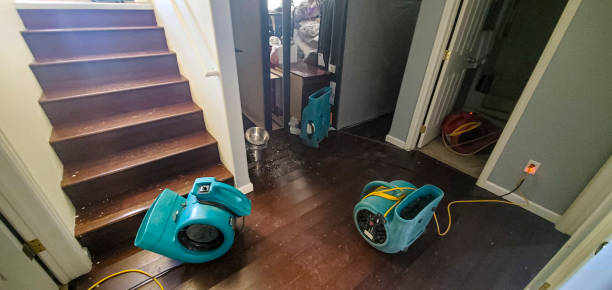 Best Water damage contractors near me  in Fairwood, MD