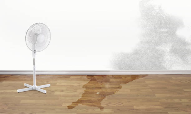 Best Emergency water damage restoration  in Fairwood, MD
