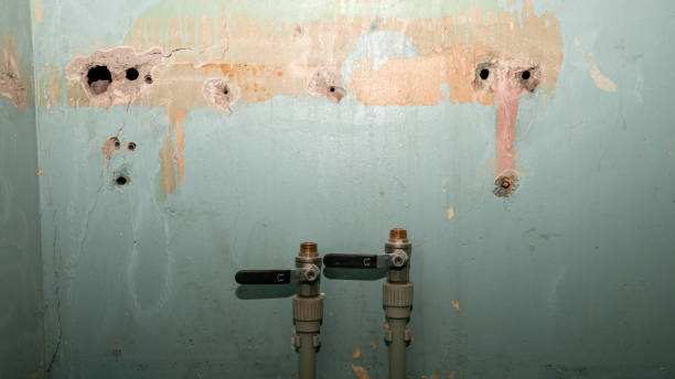 Best Emergency water extraction  in Fairwood, MD