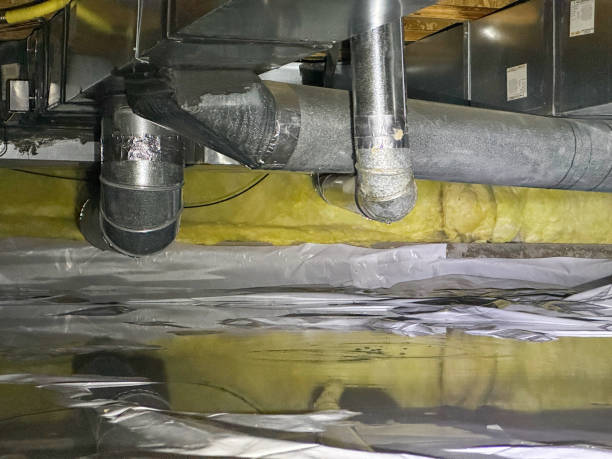 Best Local water damage restoration  in Fairwood, MD