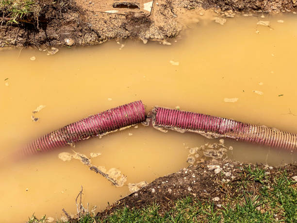 Best Professional water damage repair  in Fairwood, MD