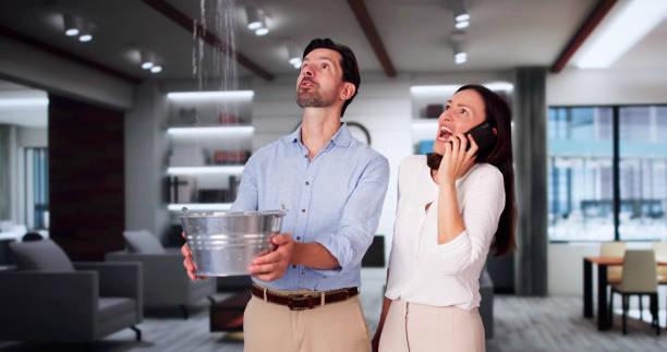 Best Mold removal after water damage  in Fairwood, MD